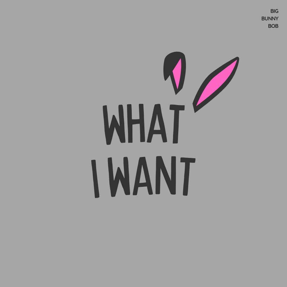 What I Want cover art